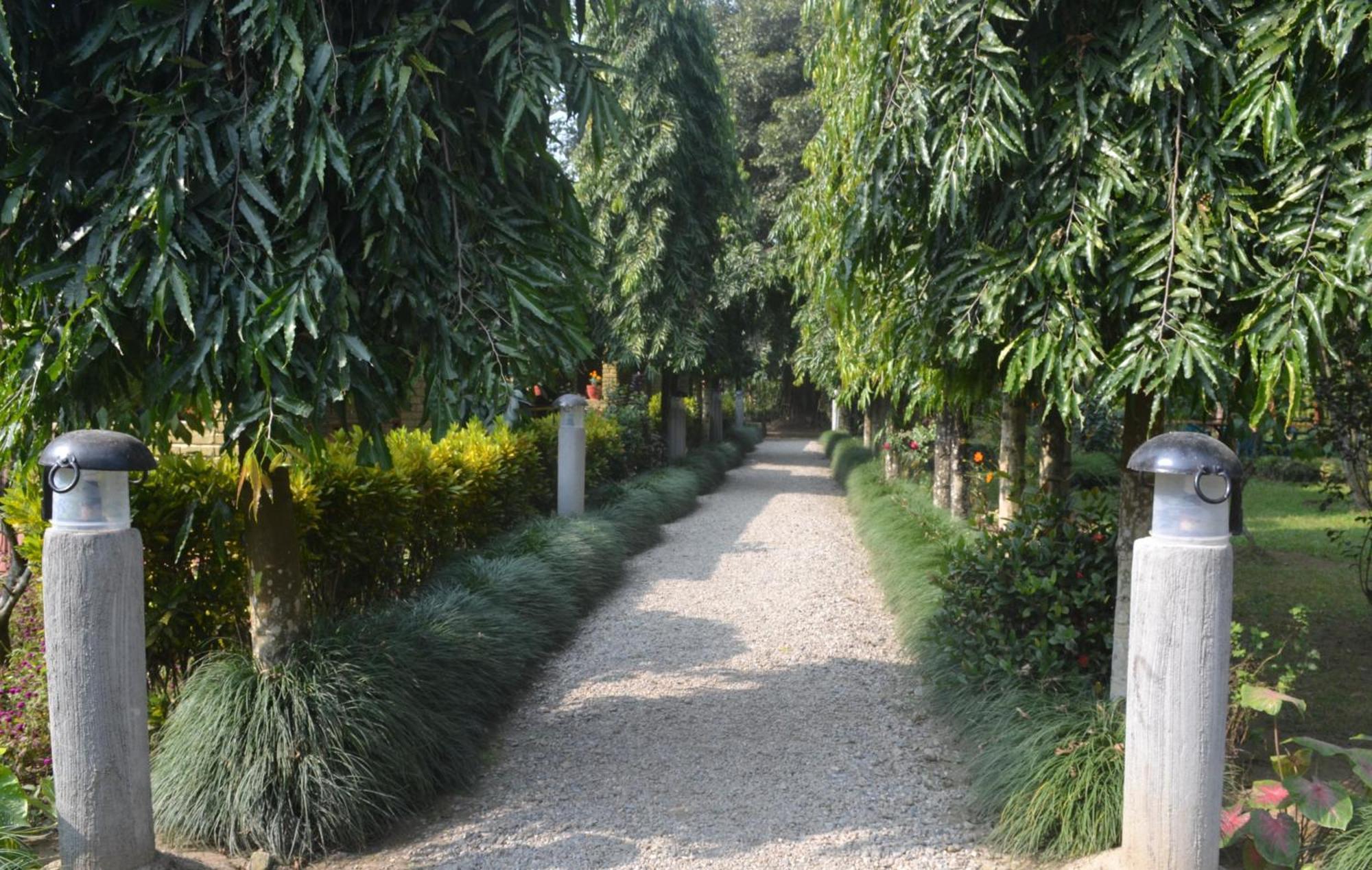 River View Jungle Camp Sauraha Rom bilde