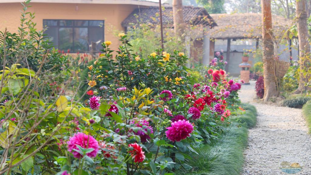 River View Jungle Camp Sauraha Eksteriør bilde