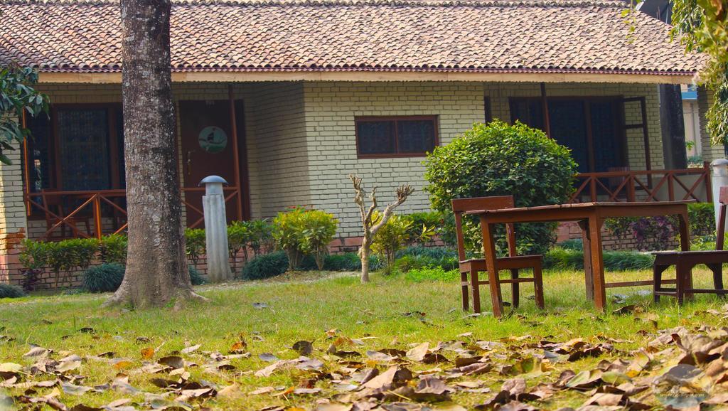 River View Jungle Camp Sauraha Eksteriør bilde