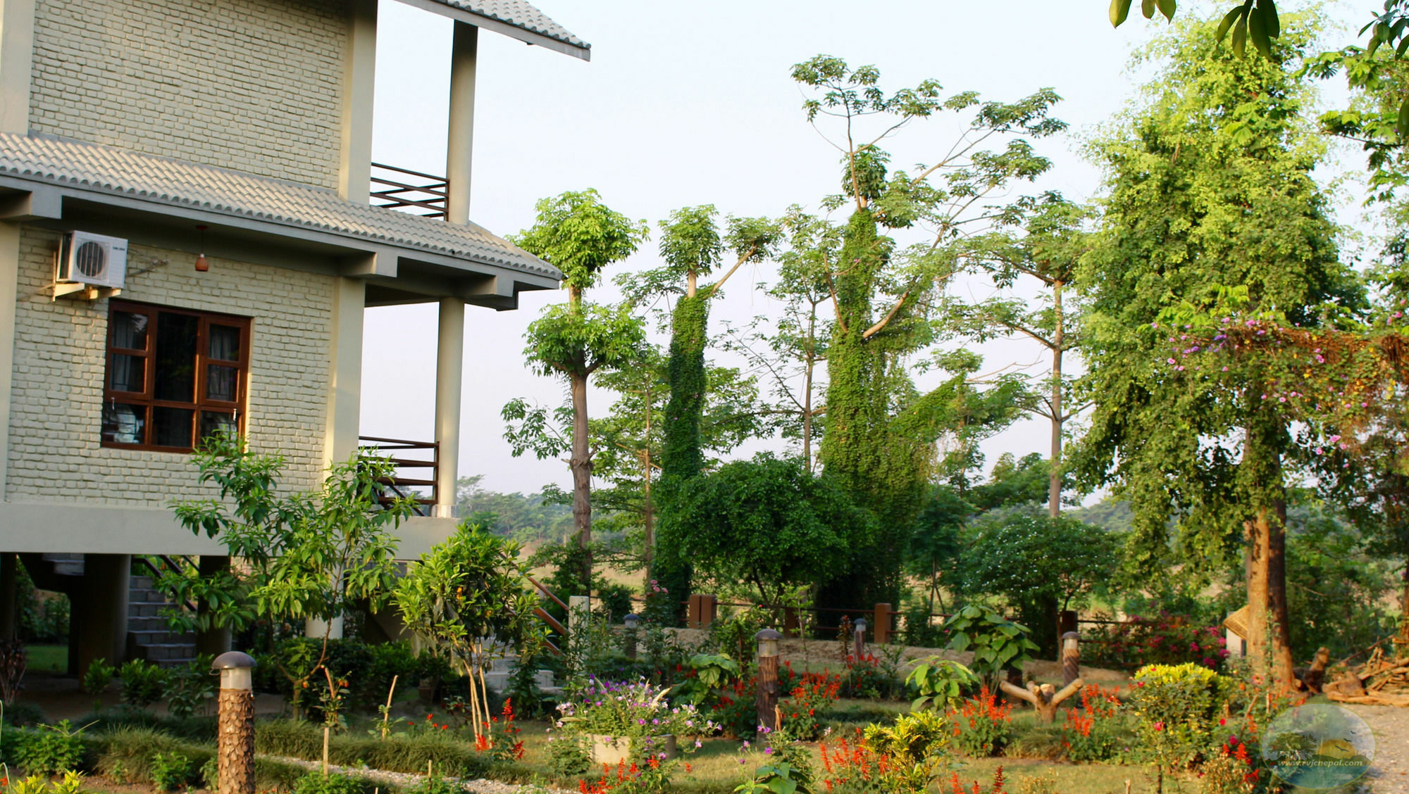River View Jungle Camp Sauraha Eksteriør bilde