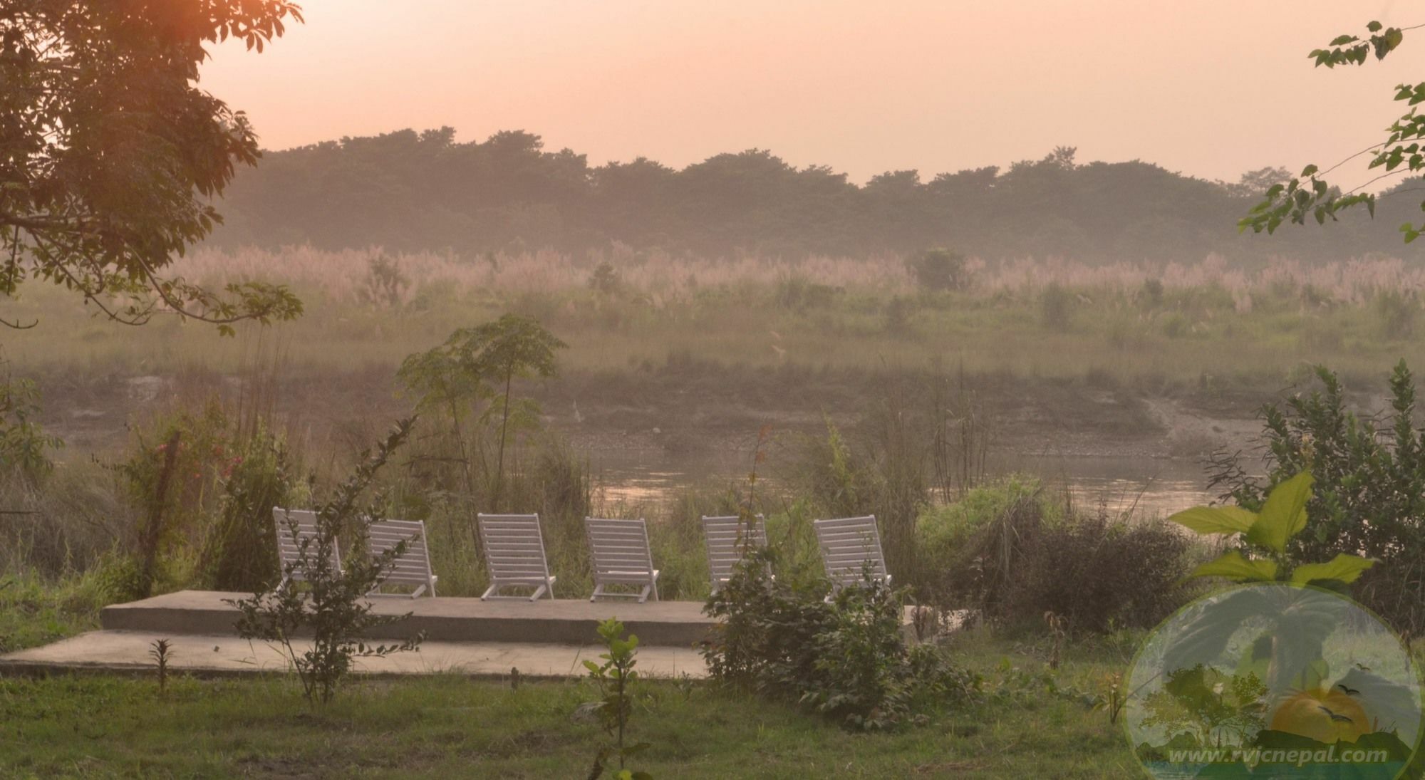 River View Jungle Camp Sauraha Eksteriør bilde
