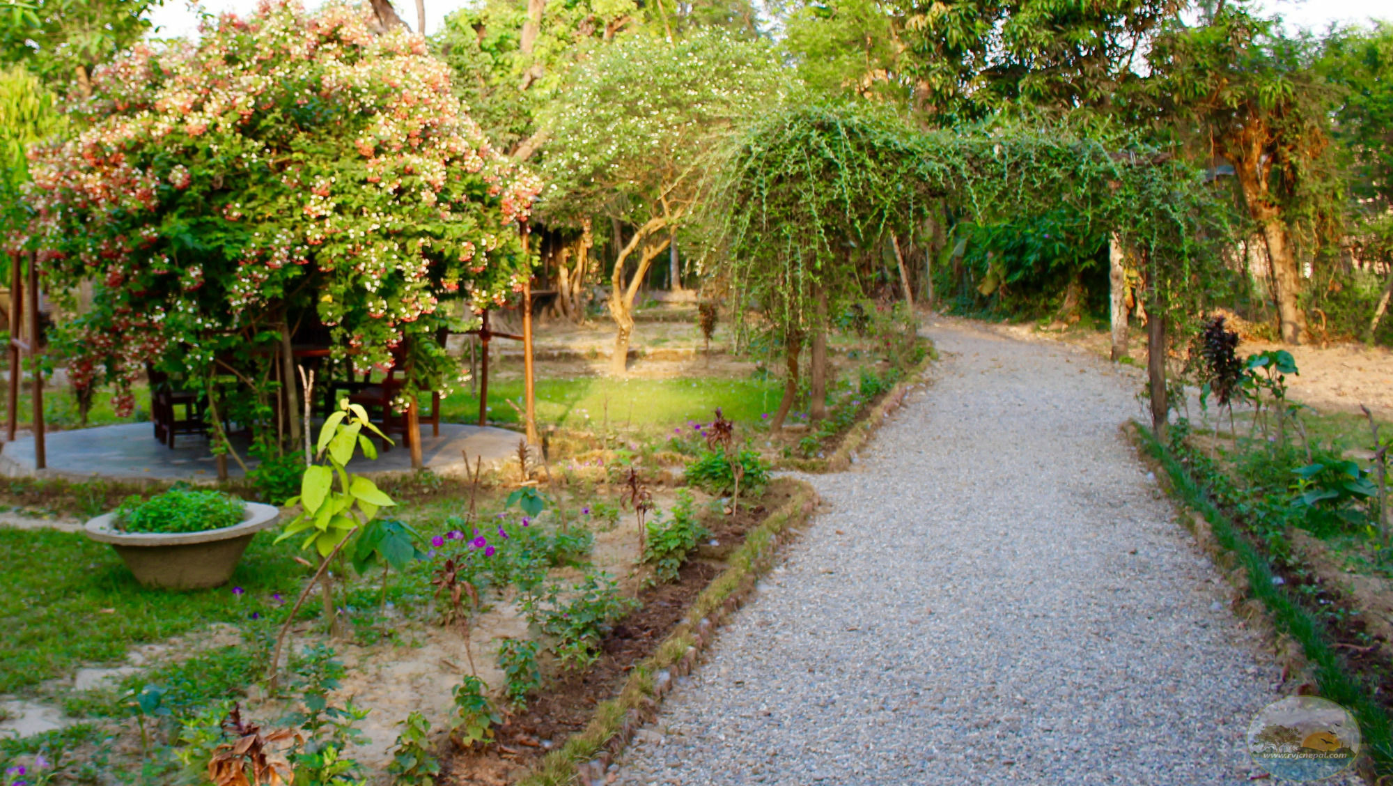 River View Jungle Camp Sauraha Eksteriør bilde